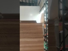 Stampatore Slotter Die Cutter di Flexo